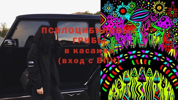 бошки Горнозаводск