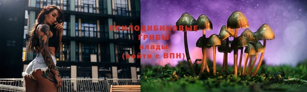 МДПВ Горняк