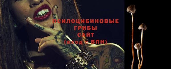 прущие крисы Вязники