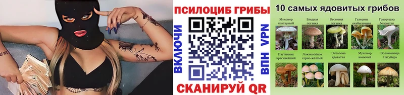 Купить где  Кинешма  Галлюциногенные грибы ЛСД 